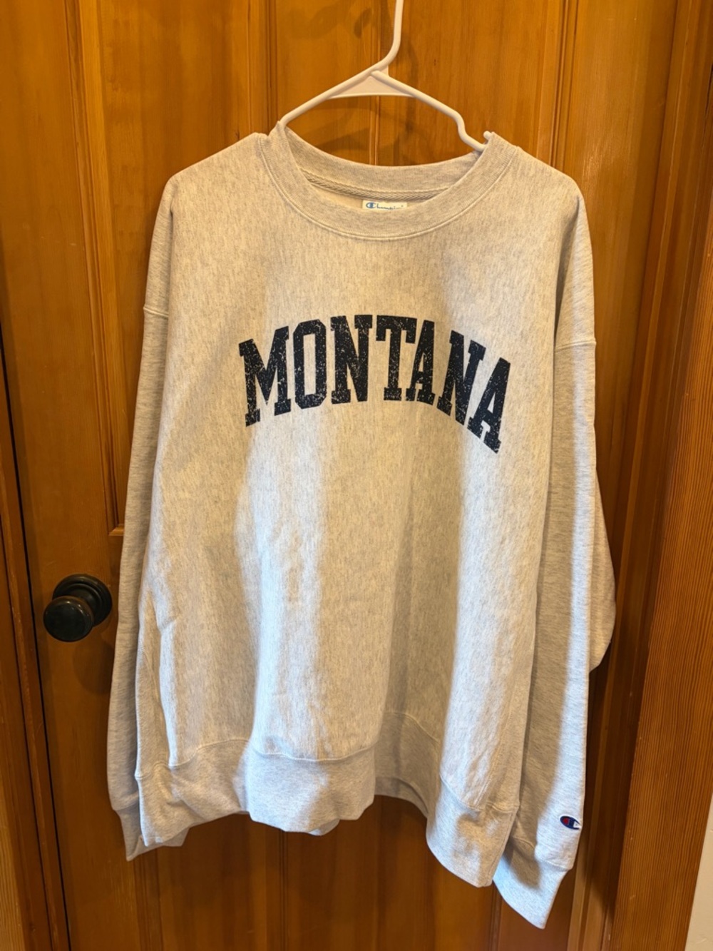 NWT Champion Reverse Weave Montana Crewneck